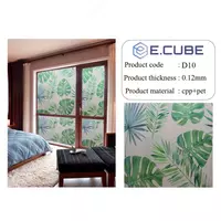 Матирующая пленка на окна. (60х500)