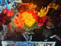  Светодиодный букет тюльпанов  10 шт - Домашний Уголок