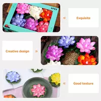 Набор "﻿Декоративная садовая кувшинка" (6 шт)