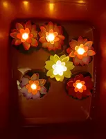 100 000 so'm Набор "﻿Декоративная садовая кувшинка" (6 шт)