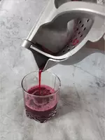 Механическая соковыжималка (большая) - Sharbat chiqargichlar