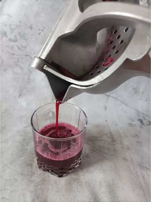 Механическая соковыжималка (большая)