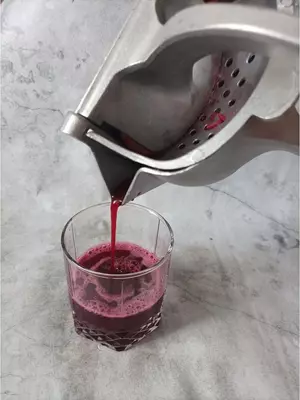 Механическая соковыжималка (большая)