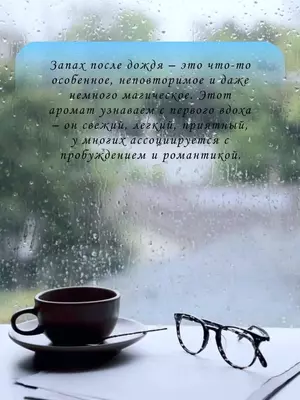 Ароматизатор "Запах после дождя" для дома (110 мл). "Domashniy ugolok" XK