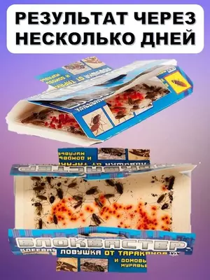 Клеевая ловушка Блокбастер XII - домик для тараканов и муравьев