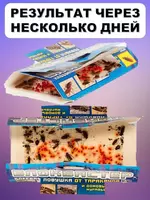 Клеевая ловушка Блокбастер XII - домик для тараканов и муравьев