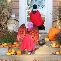 Крылья летучей мыши 300 000 сум - ЯТТ "Домашний Уголок"