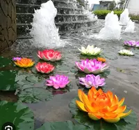 Семена лотоса - 70 000 сум