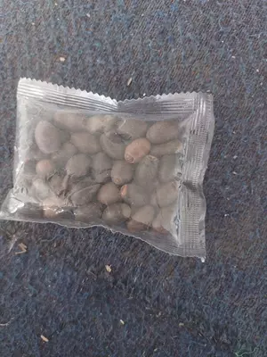 Семена лотоса