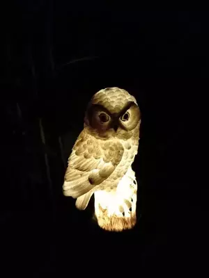 Садовые фонари на солнечных батареях в форме Совы