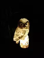 Садовые фонари на солнечных батареях в форме Совы - Строб лампы