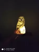 Садовые фонари на солнечных батареях в форме Совы Строб лампы