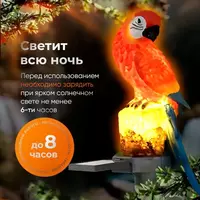 Беспроводной садовый фонарь в форме Попугая (красный) - Строб лампы