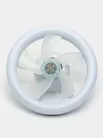 с подсветкой и пультом управления