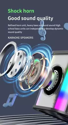 Маленькая домашняя портативная Bluetooth Колонка для караоке, двойной беспроводной микрофон, звуковая шкатулка для прямого эфира, FM-радио, TF-карта, USB Сабвуфер, музыкальный центр, аудио