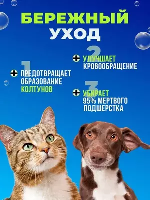 Паровая щётка-расчёска для ухода за животными