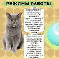 100 000 сум Интерактивный автоматический мяч для кошек и собак