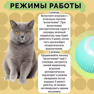 100 000 so'm / dona Интерактивный автоматический мяч для кошек и собак