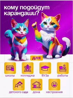 150 000 so'm / dona Набор цветных вечных карандашей (12 шт)