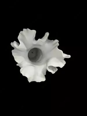 Ваза декоративная «Флора»