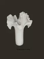 Ваза декоративная «Флора» 300 000 сум - ЯТТ "Домашний Уголок"