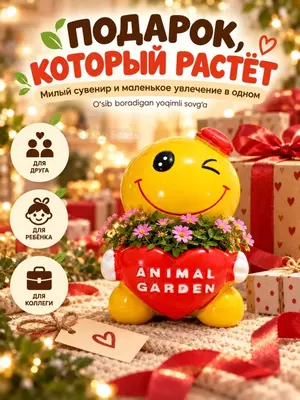 Мини-набор для выращивания растения - Смайлик с семенами, декоративный мини-горшок