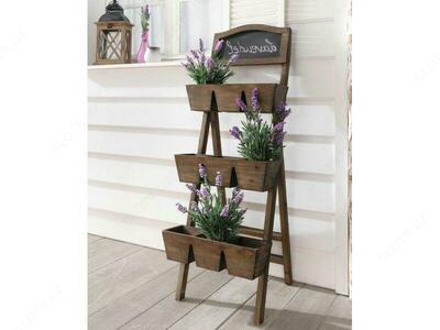 "39" o'simlik stendi