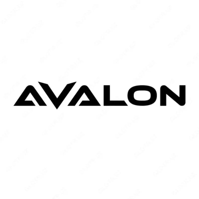  Шнековая соковыжималка Avalon AVL-SJ-2021 шамп - 