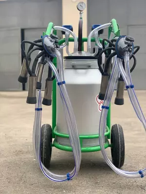 Доильный аппарат ILGUN - 5 500 000 сум / шт.