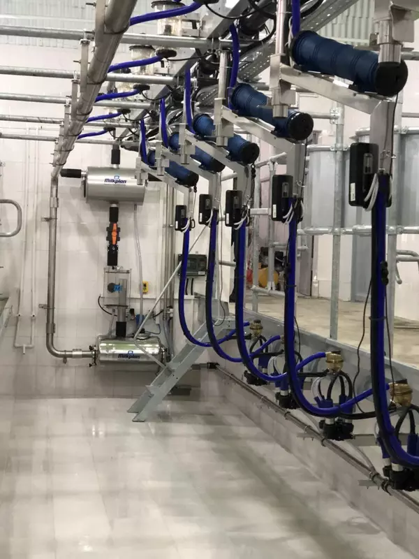 Доильный зал