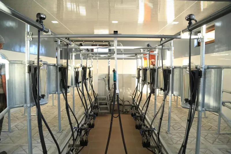 Доильный зал - OOO ROBI AGROTECH