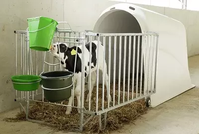 Домики для телят