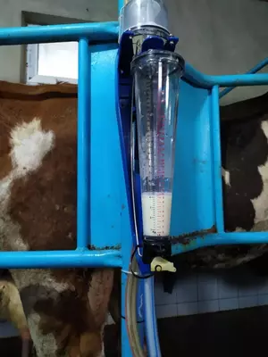 Счетчики молока - 17 250 сум / шт.