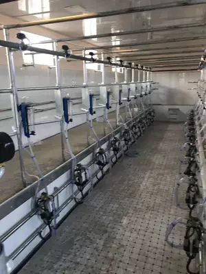 17 250 сум / шт. Счетчики молока