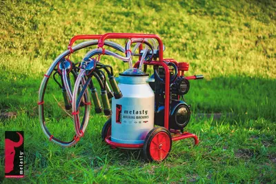 Доильный аппарат MELASTY ТК2-АК - 7 000 000 сум / шт.