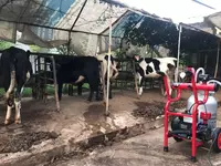 Доильный аппарат MELASTY TJK1-AK Junior - 5 000 000 сум