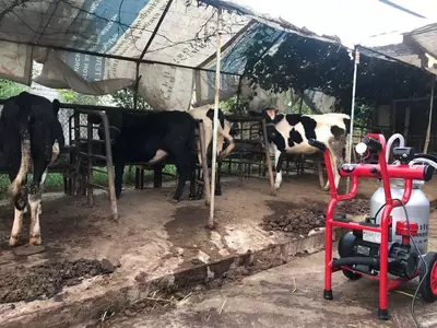 Доильный аппарат MELASTY TJK1-AK Junior