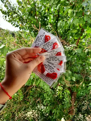 Израильские нити Соломона. Эксклюзив Magic_Store