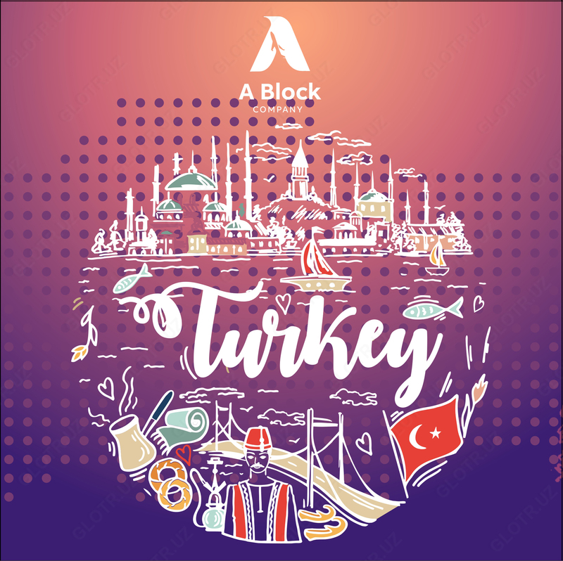 Turkiya davlatida talim