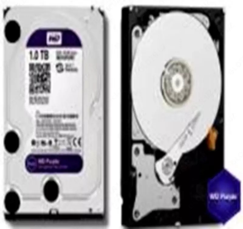 WD - Purple - (Фиолетовый) - HDD - Диск - 1 Tb Професиональный диск для видеонаблюдения - HIKVISION - ( ОРИГИНАЛ ) - 503 100 сум