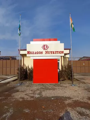 Reklama stelasi арт06