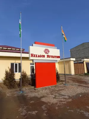 Reklama stelasi арт07