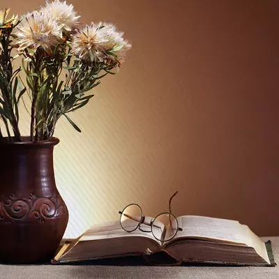 Раппорт 6.4 см