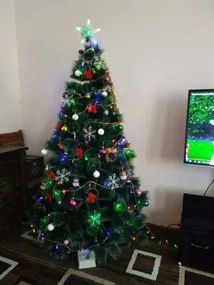 Ёлки для украшения дома