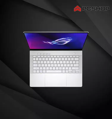 Asus ROG Zephyrus G14 (2024) GA403 / AMD Ryzen 9 8945HS / RTX 4060