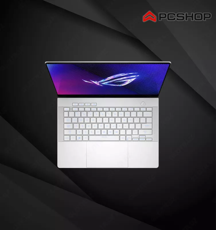 Asus ROG Zephyrus G14 (2024) GA403 / AMD Ryzen 9 8945HS / RTX 4060