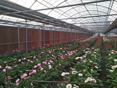 Охладительные панели EcoStream (гофра панели)