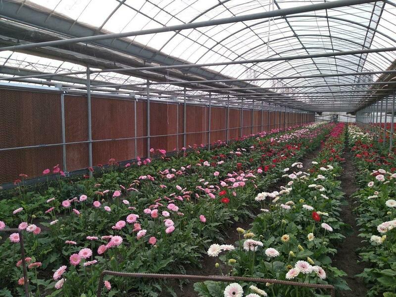 EcoStream sovutish panellari (gofrirovka qilingan panellar) - Boshqa turdagi maishiy texnikalar