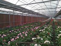 Techno Vent Buxoro - Sovutish kassetasi - gofrirovka bilan cheklangan EcoStream