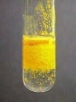 Simob oksidi sariq "h"